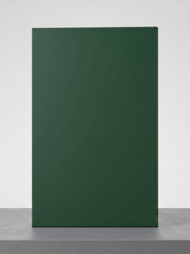 Kitchen cabinet doors 450mm - kitchen,